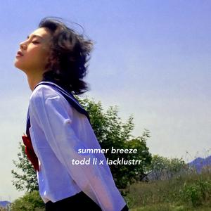 中国视频永久免费中国视频高清在线看
